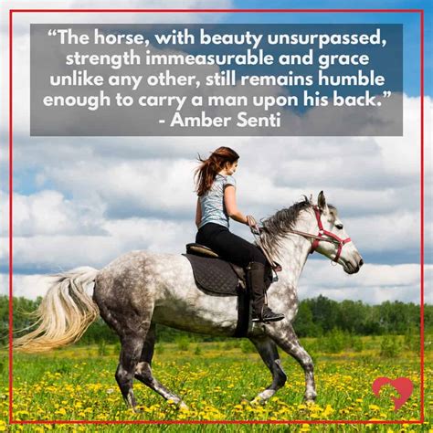 inspirational horse quotes|beautiful horse quotes.